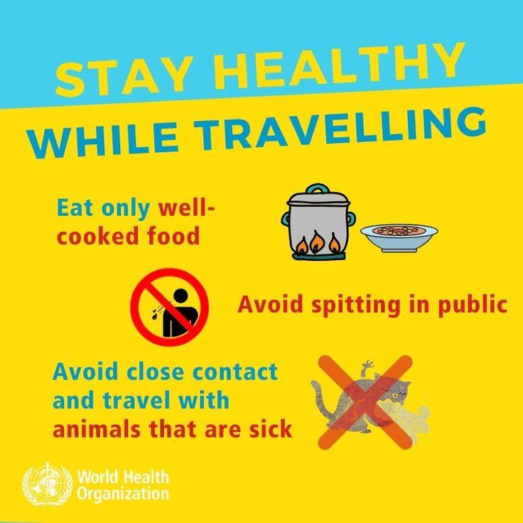 Stay healthy while travelling! (4).jpeg