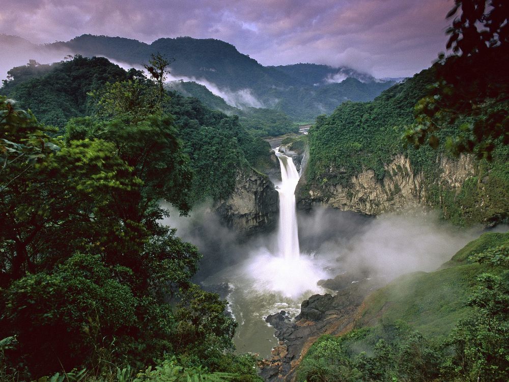 old-growth-rainforests-amazon-conservation.jpg